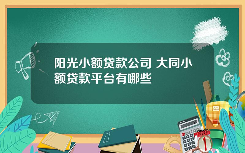 阳光小额贷款公司 大同小额贷款平台有哪些